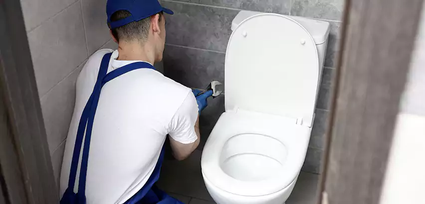 Toilet Lid Replacement in Duncanville