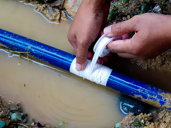  Why Choose Trice Plumbing & Heating for Leak Detection in Duncanville, TX?]